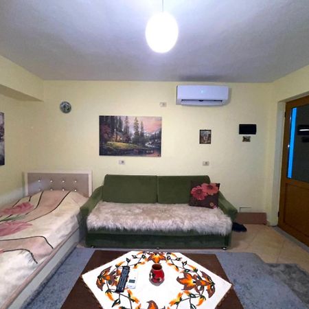 Blue Guesthouse Gjirokaster Bagian luar foto